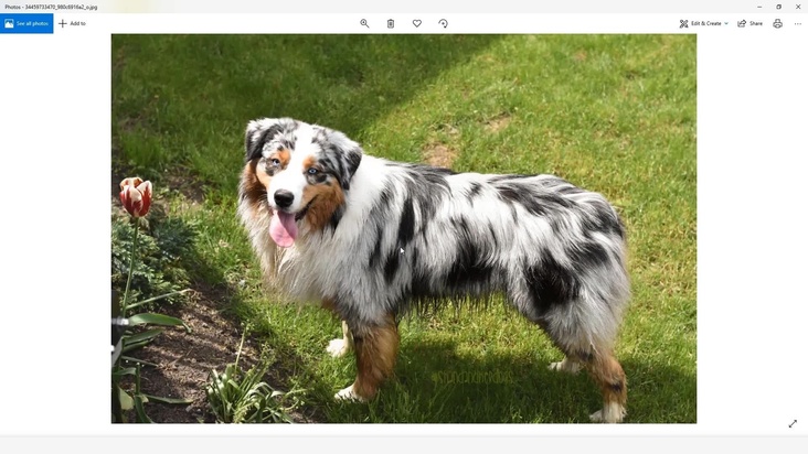 XGen File Setup and References