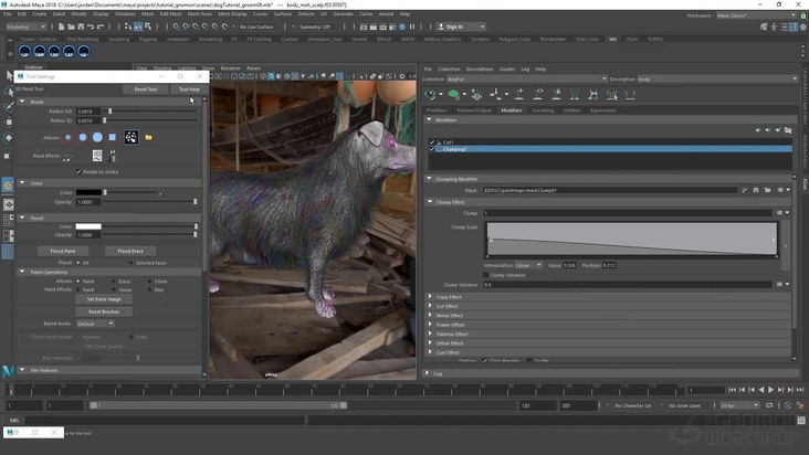 Region Map and Clump Density
