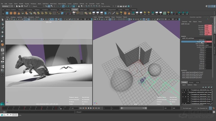 Camera Lenses and Shot Language