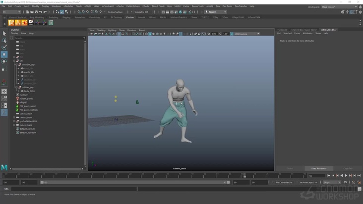 Simulating the Pants