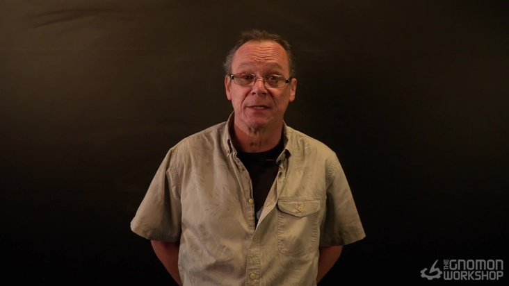 Introduction to the Lower Leg and Foot