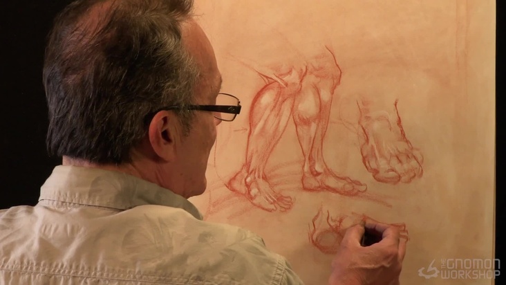 Lower Leg and Foot Drawing Demonstration