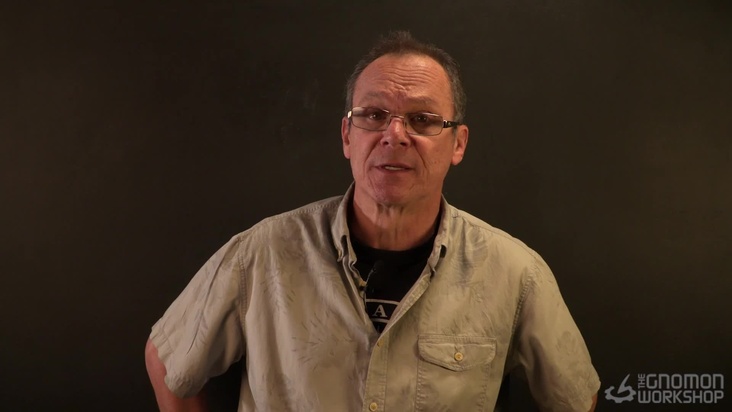 Introduction to the Thigh and Gluteals