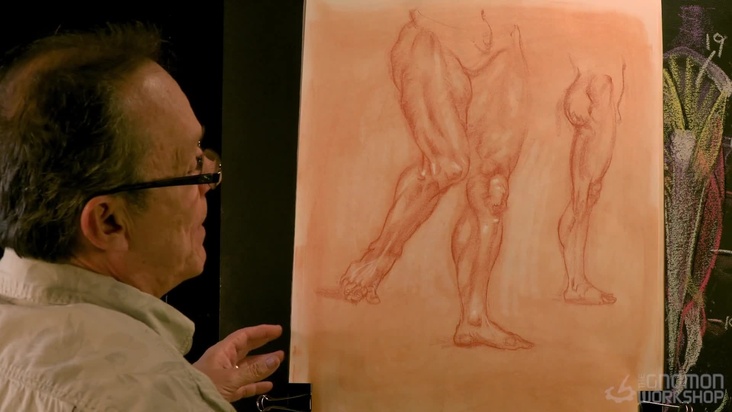 Thigh and Gluteals Drawing Demonstration