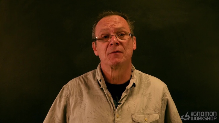 Introduction to the Front Torso