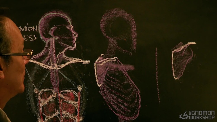 Front Torso Lecture Part 01