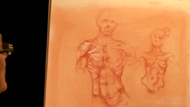 Front Torso Drawing Demonstration
