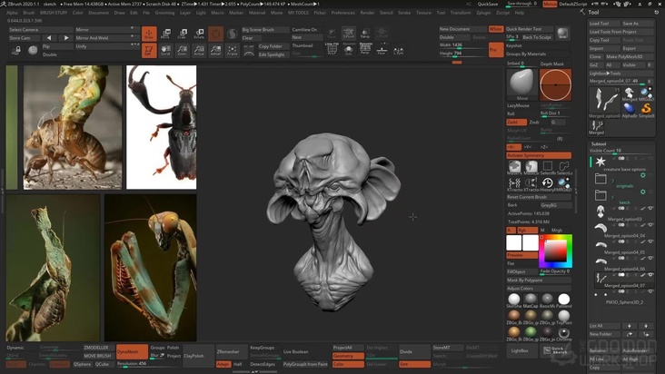 Sketching the Creature