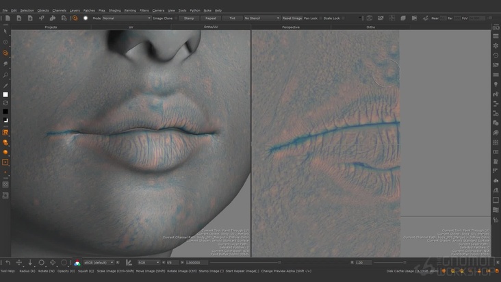 Texturing — Projecting the Fine Displacements