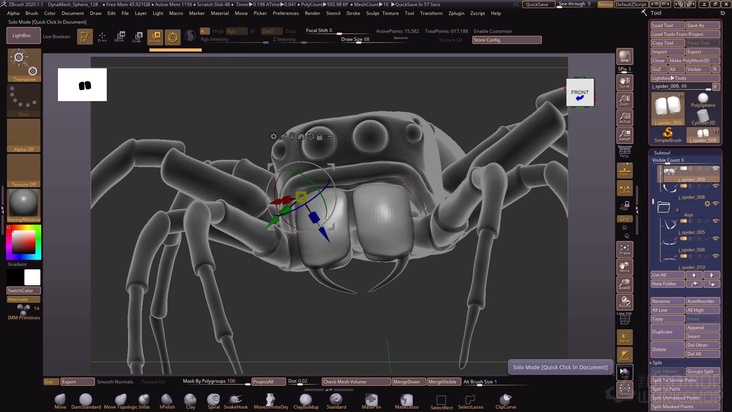 Define the spider's eyes and mouthparts