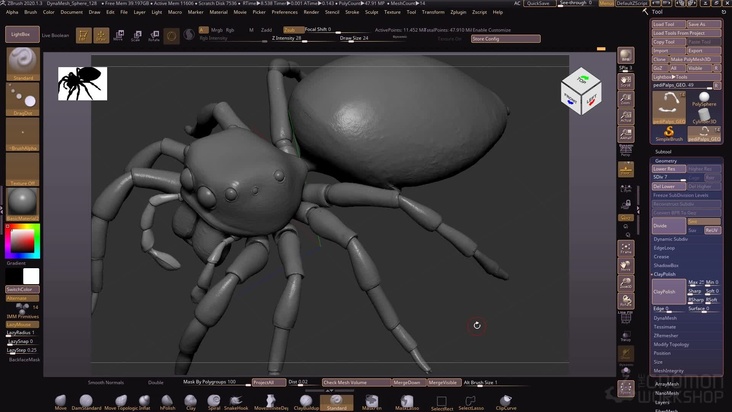 Sculpt spider's surface details in ZBrush