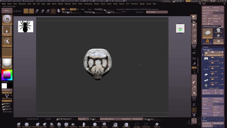 Polypaint the spider's fur color pattern in ZBrush