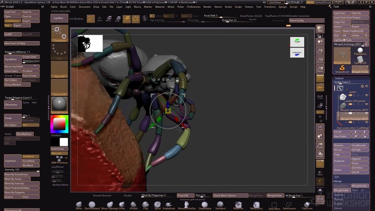Pose the jumping spider in ZBrush