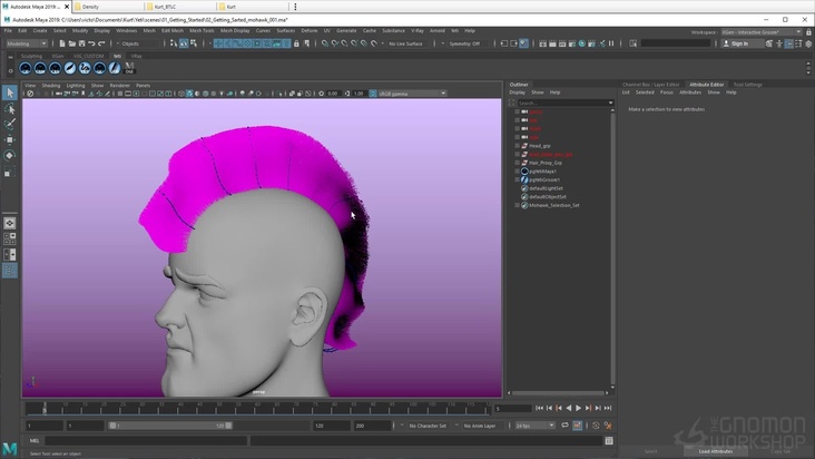 Viewport Display Settings
