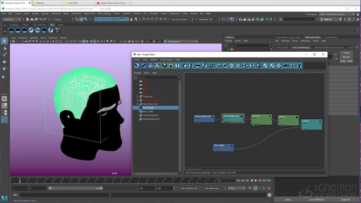 Yeti Network Setup and Texture Node