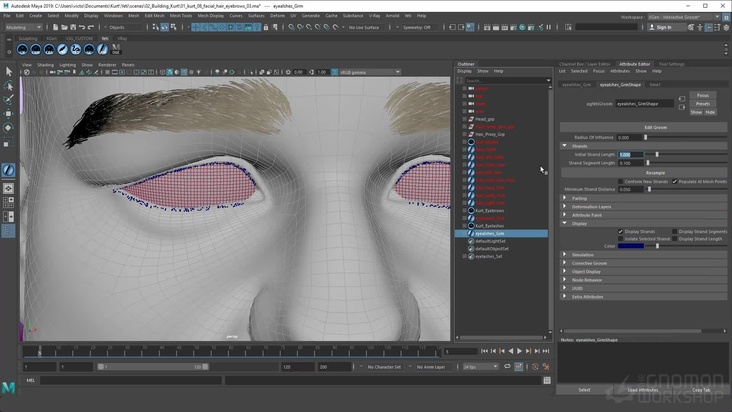 Eyebrows & Eyelashes