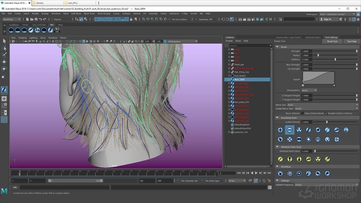 Mullet Groom Fine Tuning