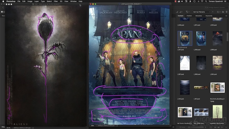 Commercial vs. Fan-Art Posters