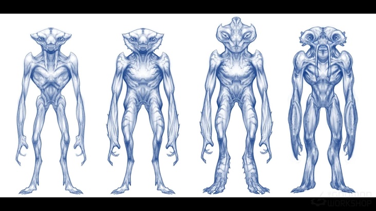 Making Changes & Exploring Head Designs