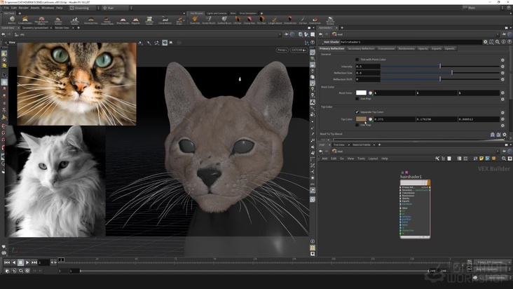 Guides: Whiskers — Part 2