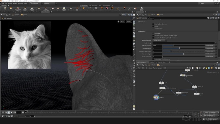 Guides: Lashes & Ear Hair — Part 1