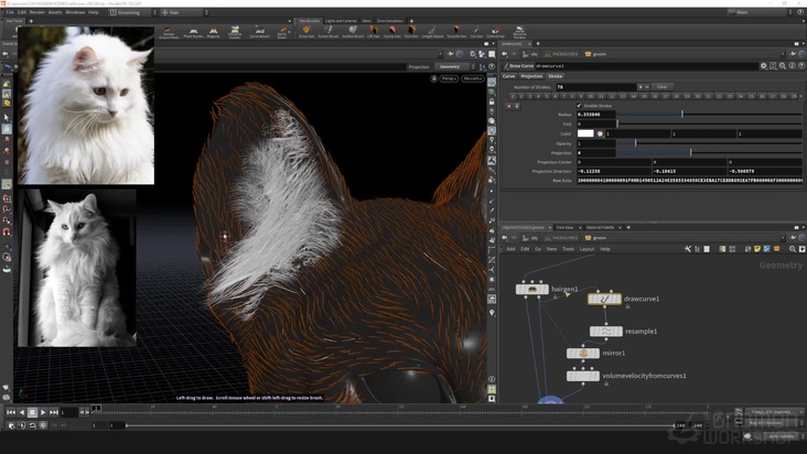 Guides: Ear Hair — Part 2