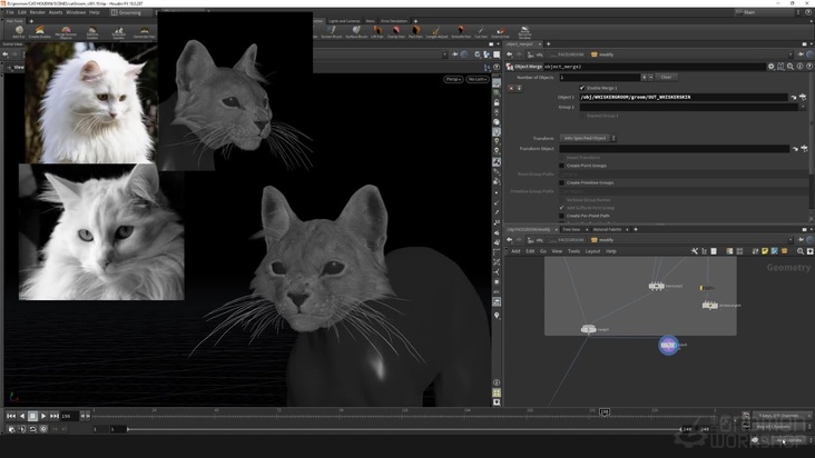 Ingesting: Cheeks — Part 2