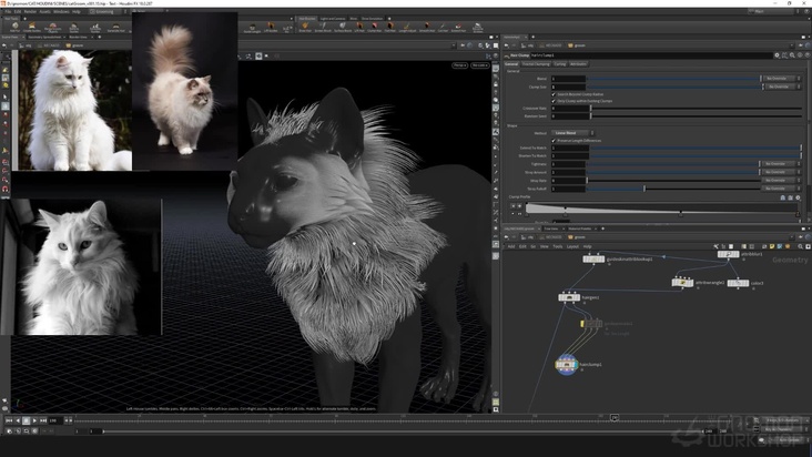 Guides: Neck — Part 1