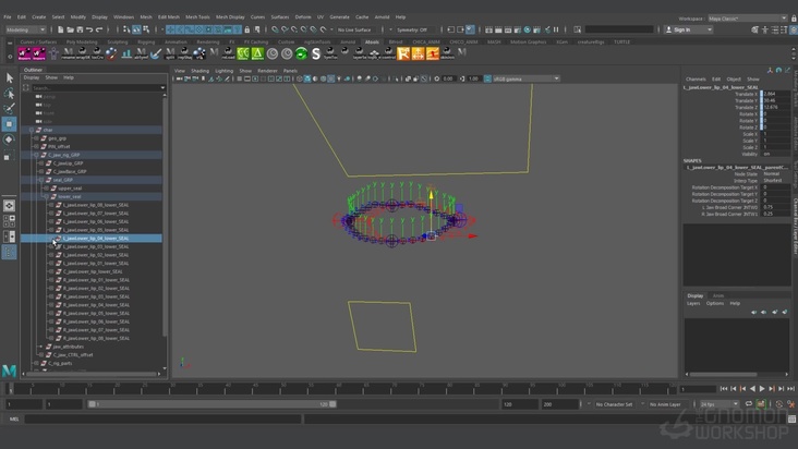 Seal & Jaw Attributes