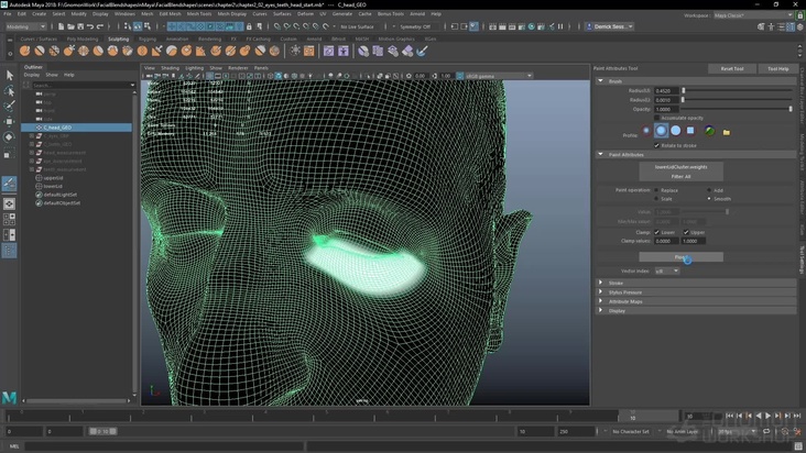 Preparing a Head for Deformation & An Intro to Cluster Deformers