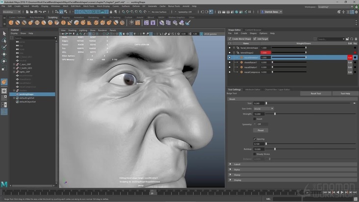 Creating Nose & Cheek Blendshapes in Maya