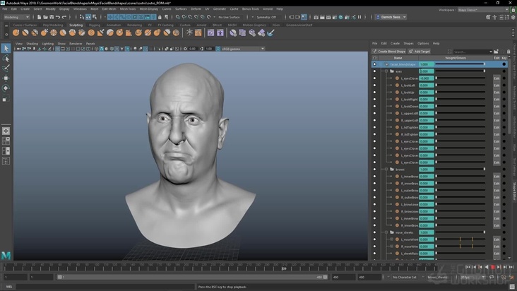 Outro — Plus a Range of Motion Animation
