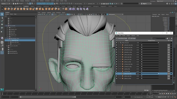 Brow Blendshapes in Maya