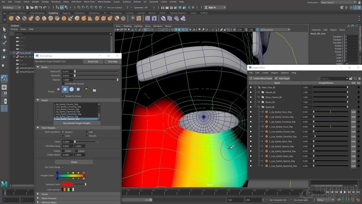 Eyelids & Blinking Blendshapes in Maya