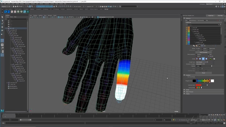 Maya Joints and Skin Clusters