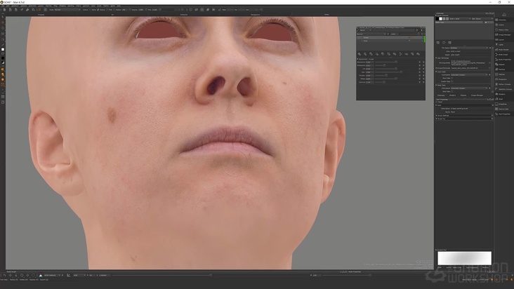 Texture Cleanup in Mari