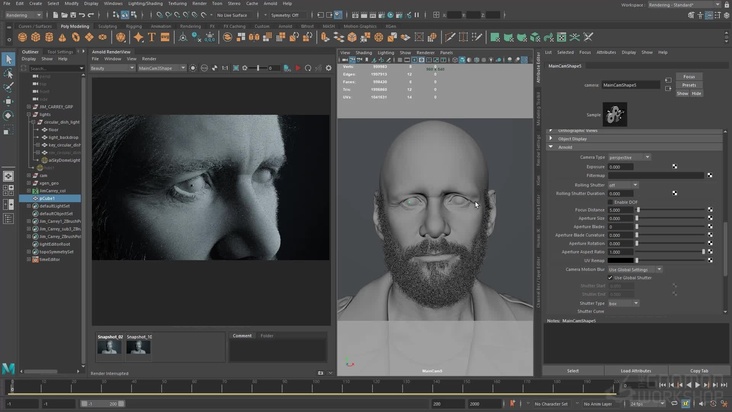 Lights, Camera, Action