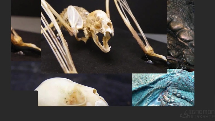 Referencing Blocking & Quick Retopo — Part 1