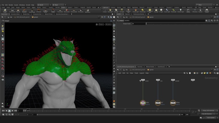 Guide Creation: Face