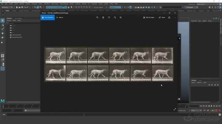 Introduction & References