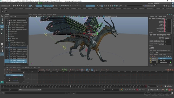 Motion Track & Animation Layers