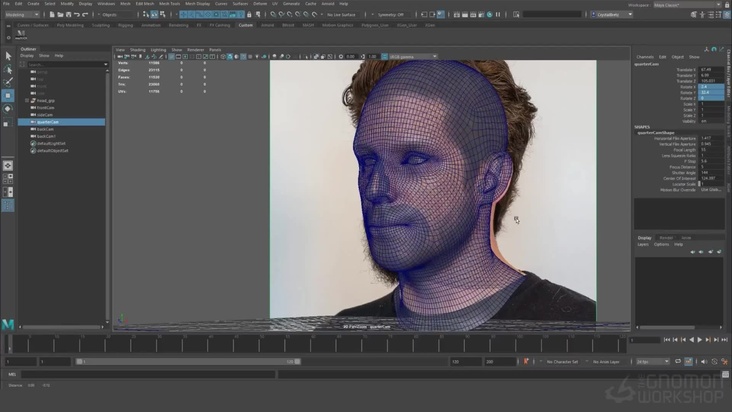 Setting Up Reference Cameras