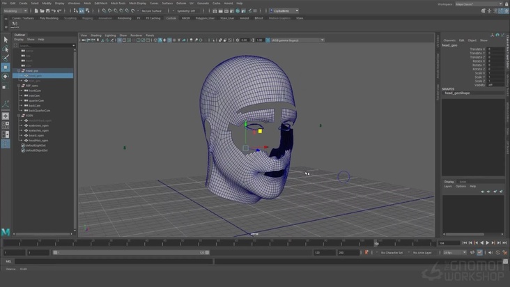 Getting Started With XGen