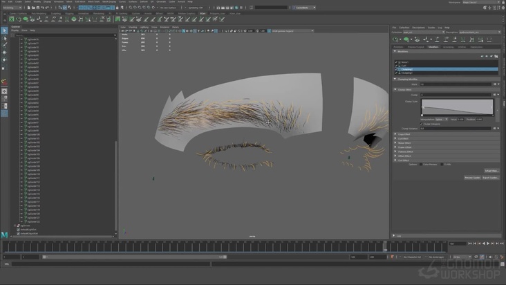 Grooming the Eyebrows