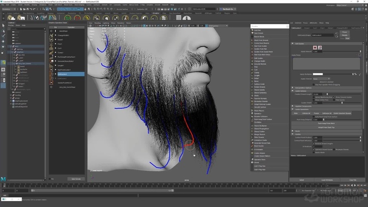 Beard & Mustache Hair Refinement