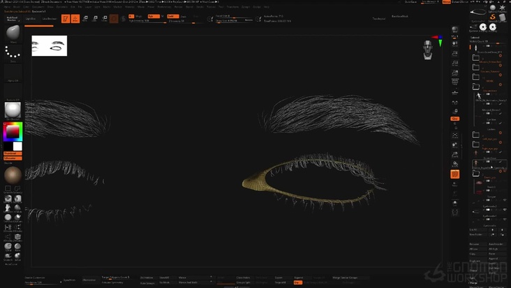 Wet Lines, Teeth & Gums