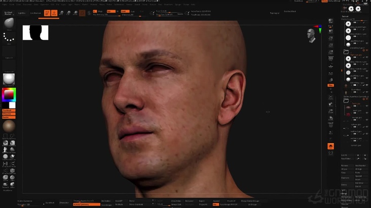 Painting Out Eyebrows