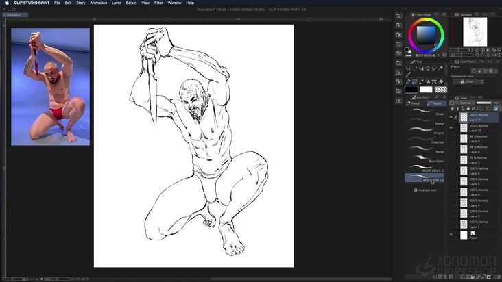 Contour Line Drawing