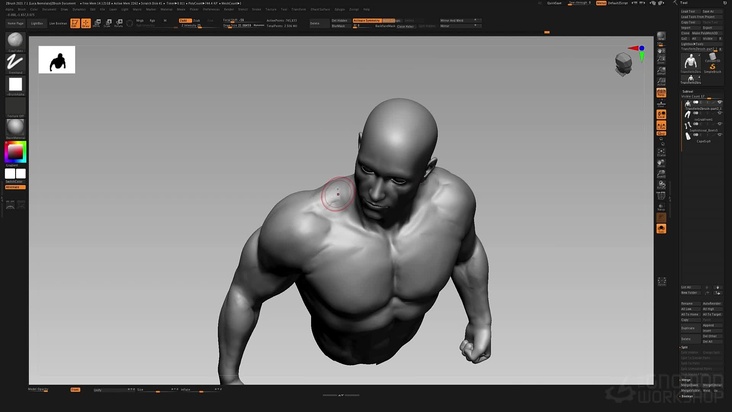 Resculpting & Detailing the Model in ZBrush