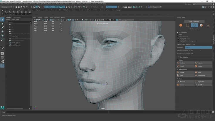 Head & Hand Topology